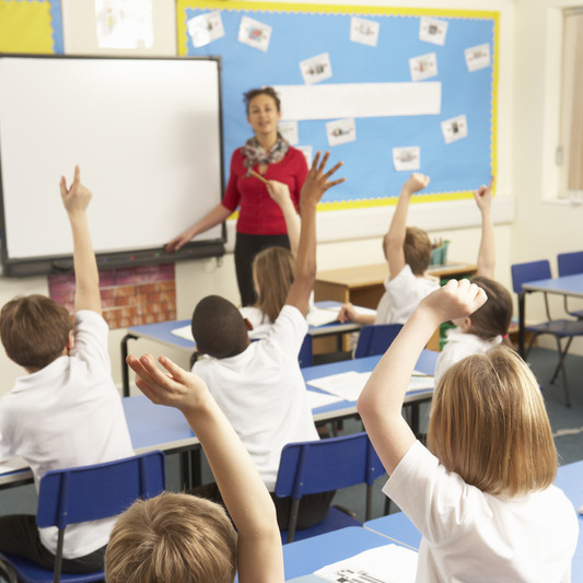 Primary School Tutor